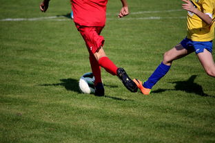 星空体育在线-国家队与俱乐部之间协调机制为何不顺畅，国家队比赛和俱乐部比赛冲突