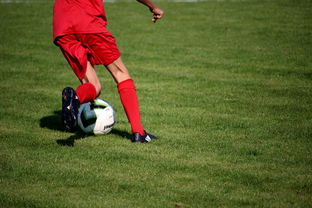 星空投注-青训球员选拔机制存在结构性偏见，青训选拔喜欢那种球员